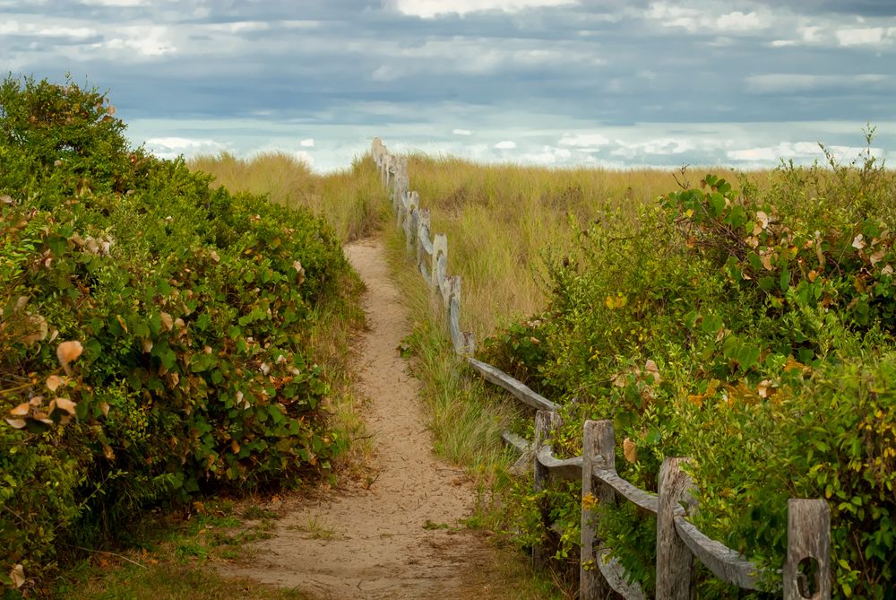 Siasconset's trail