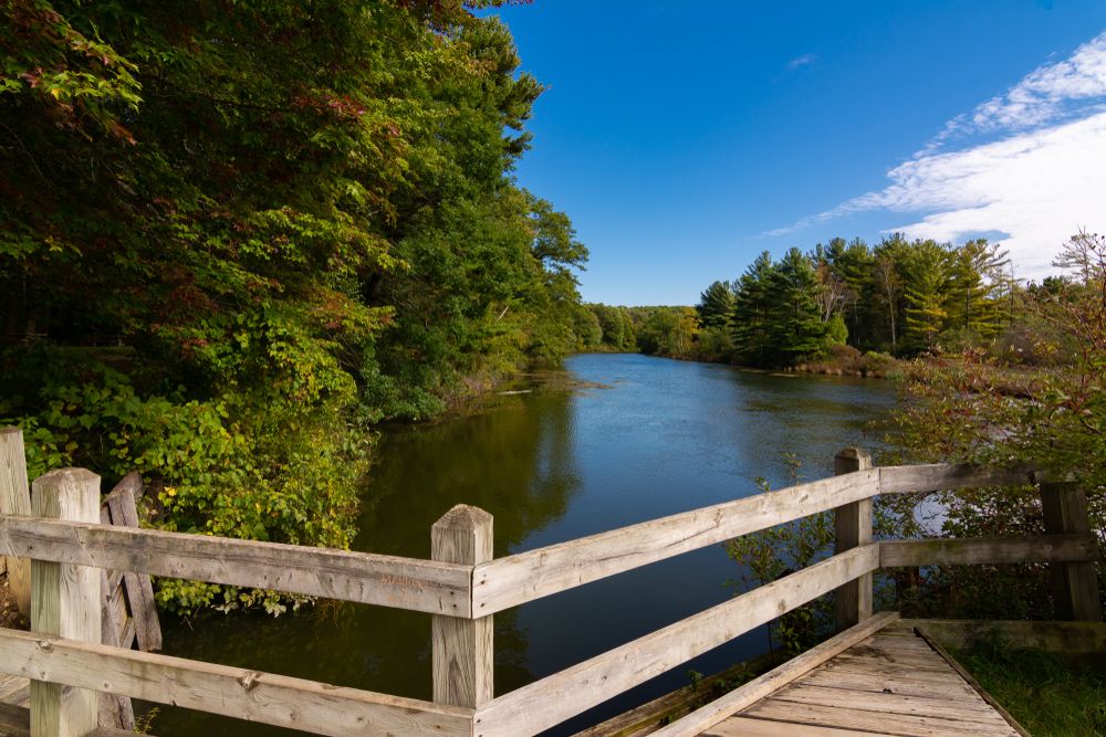 Boardwalk in Silver Lake State Park