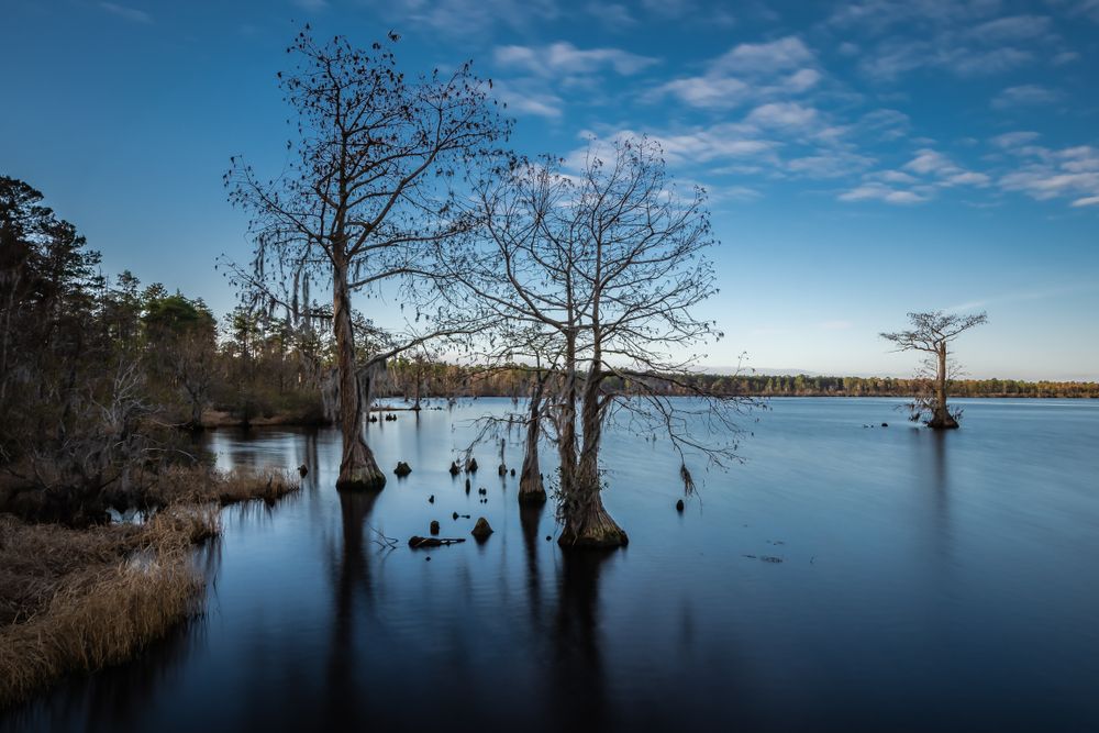 Singletary Lake State Park