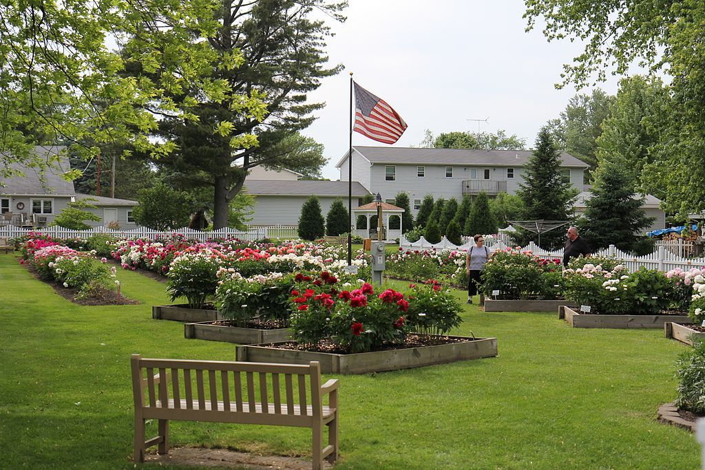 Colorful flowers at Sisson's Peony Gardens