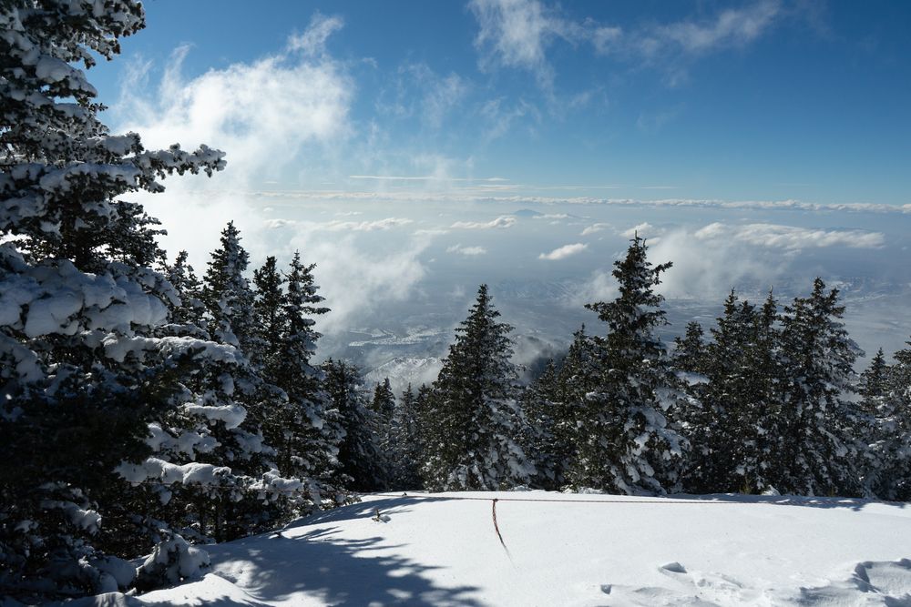 Landscape of Ski Apache