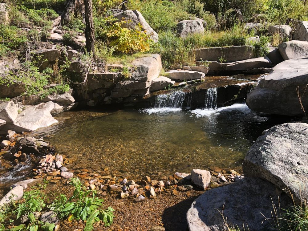 Stream flowing in Ski Apache