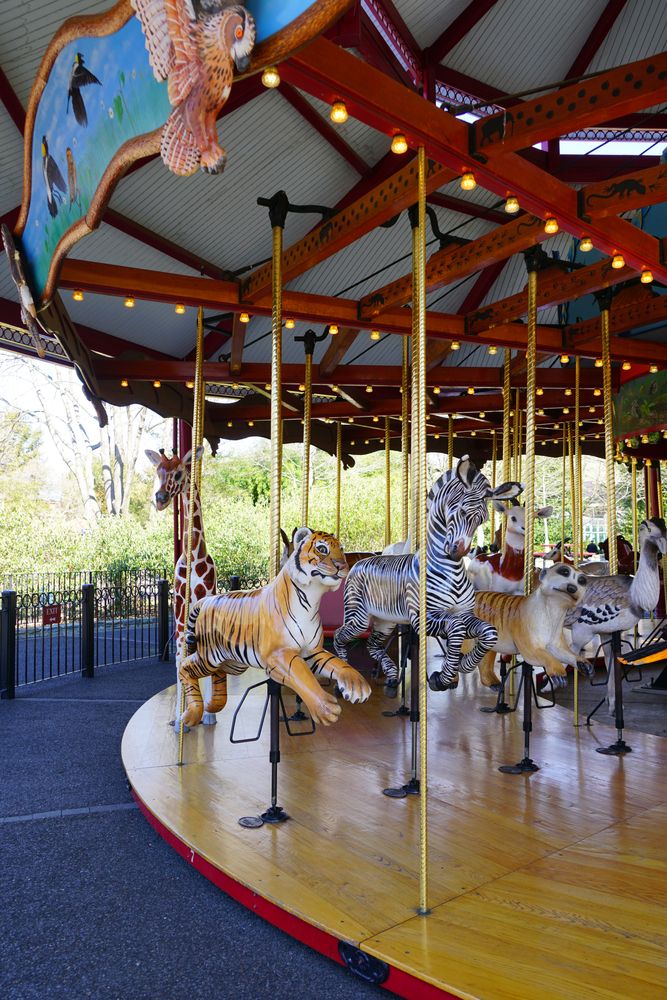 Merry-go-round at Smithsonian National Zoological Park