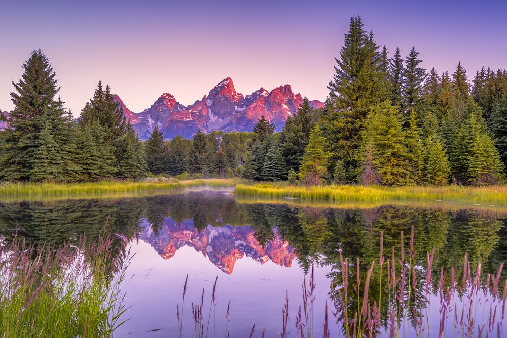 Snake River in Jackson Hole, WY