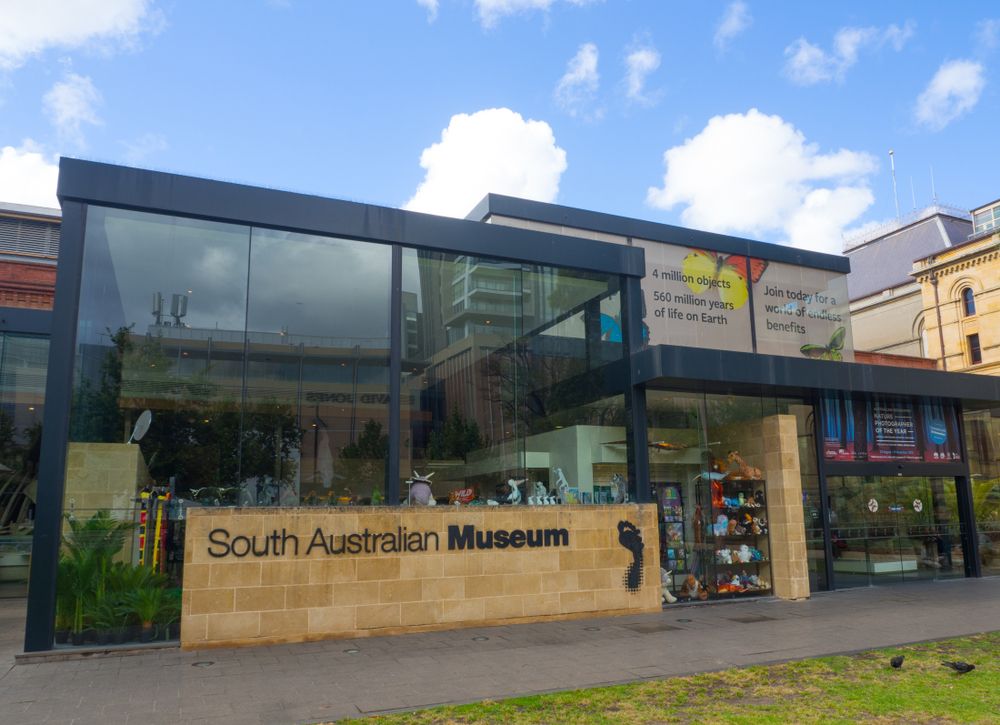 Souvenir shop at South Australian Museum