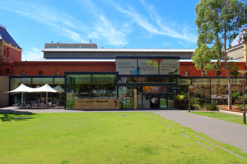 Exterior of South Australian Museum