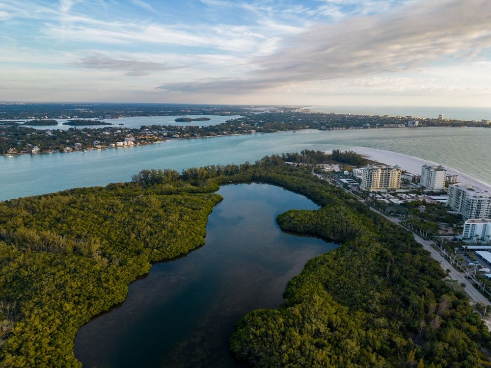 Aerial view of South Lido Park
