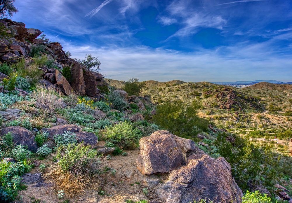 Landscape of South Mountain Park and Preserve
