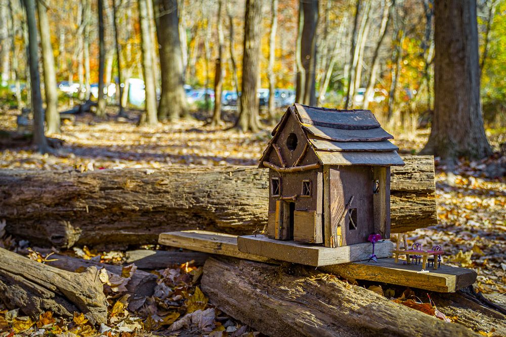 View of South Mountain Reservation