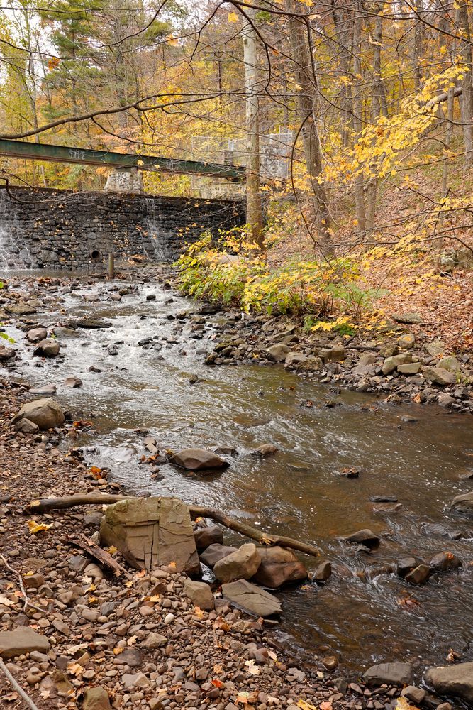 A creek running through the South Mountain Reservation