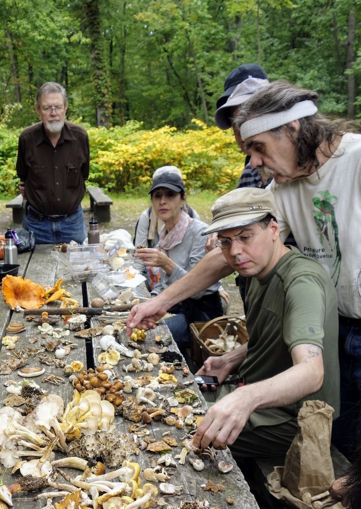 A group of people examining the mushrooms at South Mountain Reservation