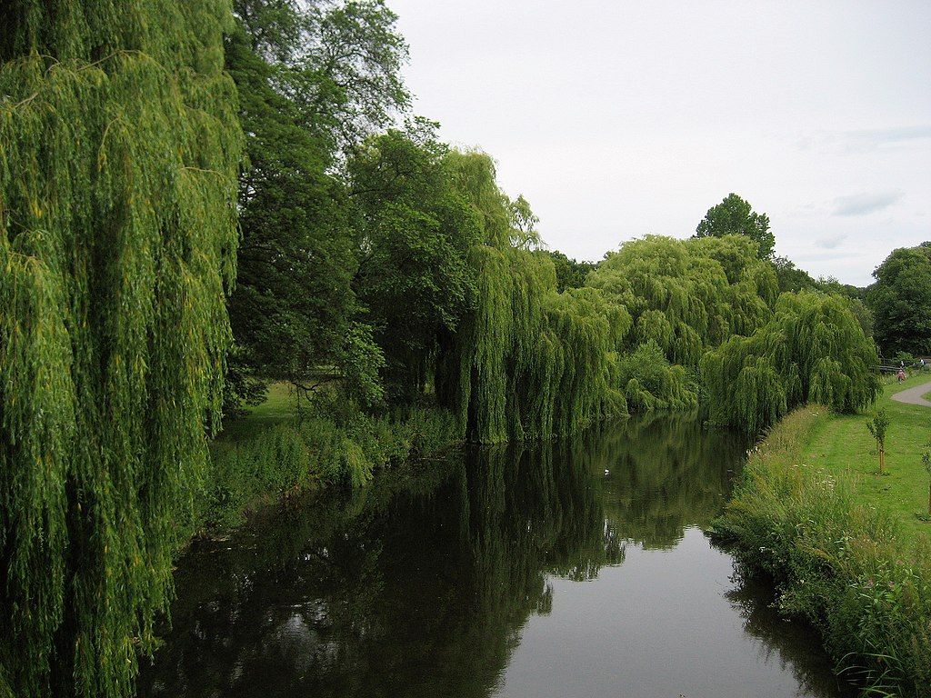River Skerne running through South Park