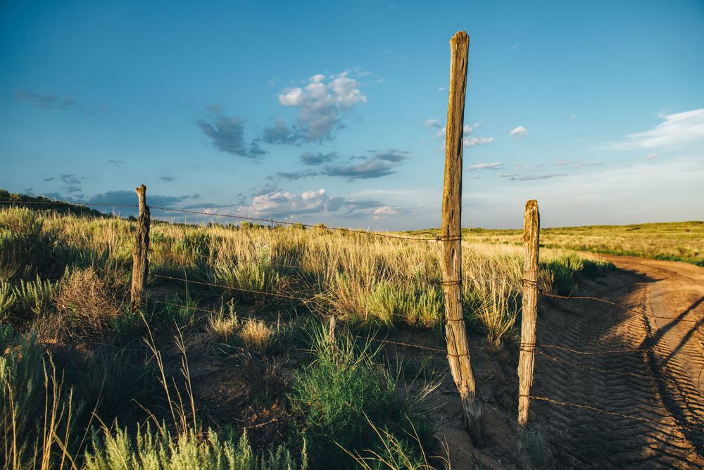 Landscape of South Texas Plains
