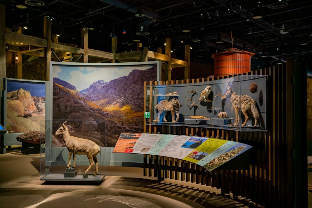 Exhibits at the museum in Springs Preserve