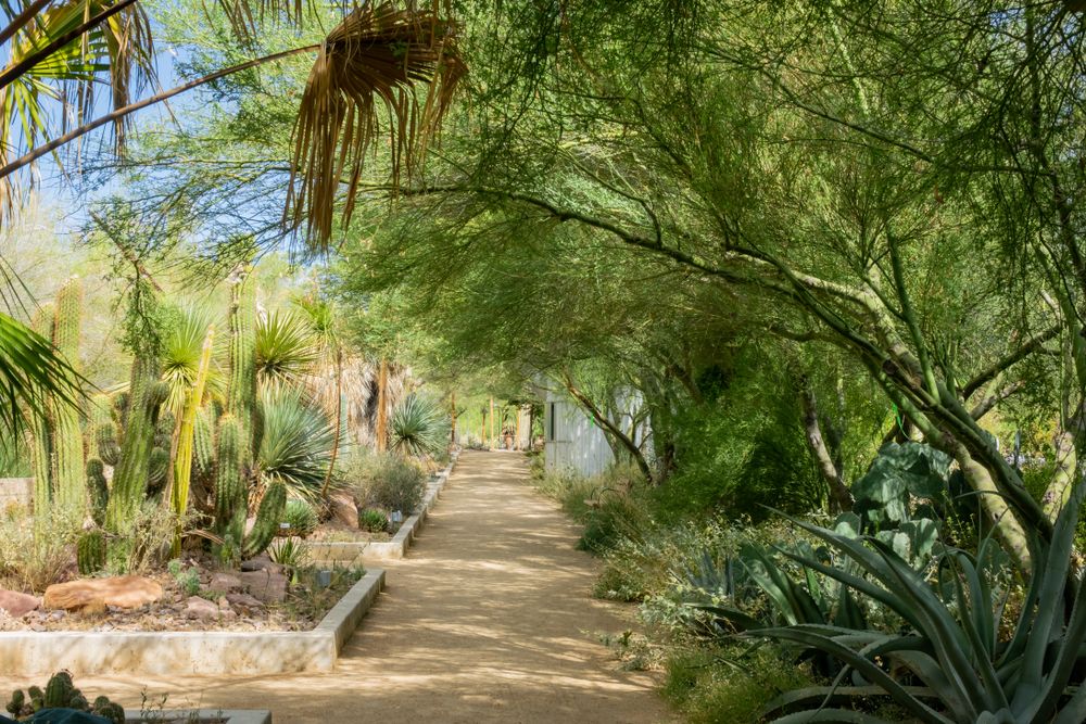 Garden at Springs Preserve