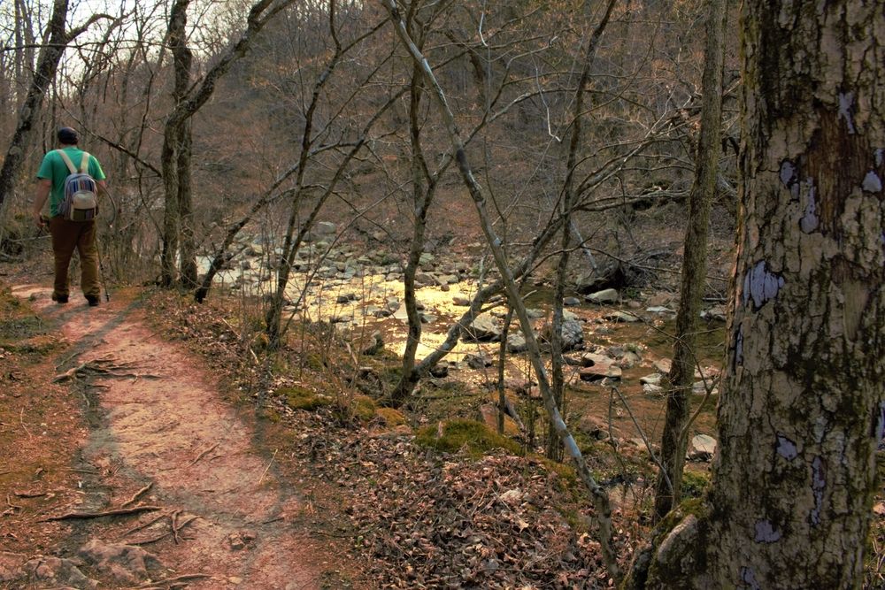 A young man hiking at St. Francois State Park