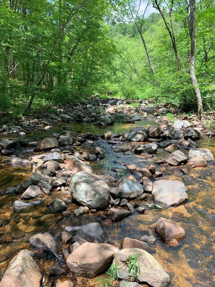 A stream flowing at St. Francois State Park