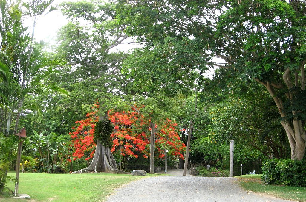 St. George Botanical Garden