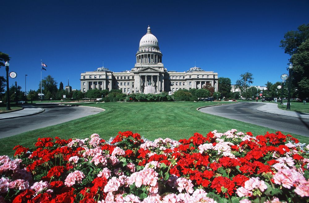 Vibrant flowers in front of State Capitol Boise