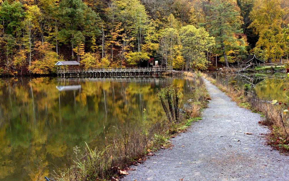 Narrow pathway at Steele Creek Park
