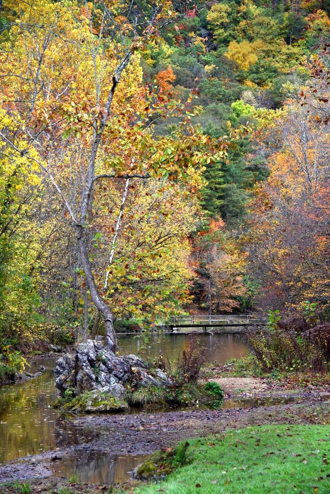Steele Creek Park during autumn