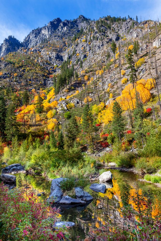 Stevens Pass during autumn