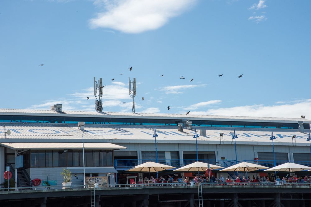 Restaurant tables with a sea view at Stokes Hill Wharf