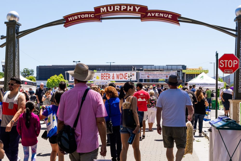 People at the Sunnyvale Art & Wine Festival