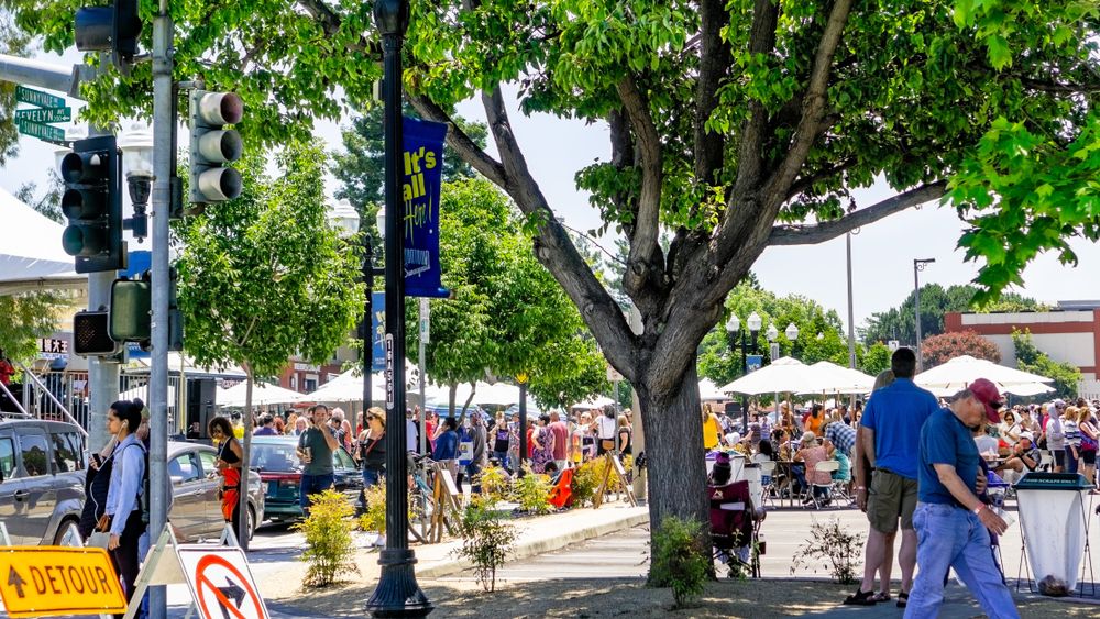 Daytime at Sunnyvale Art & Wine Festival
