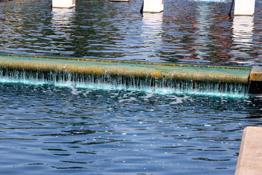 Waters of Sunnyvale Heritage Park