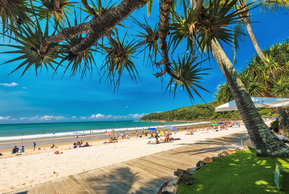 Surfing noosa beach