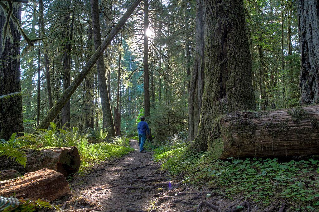 Susan Creek Campground