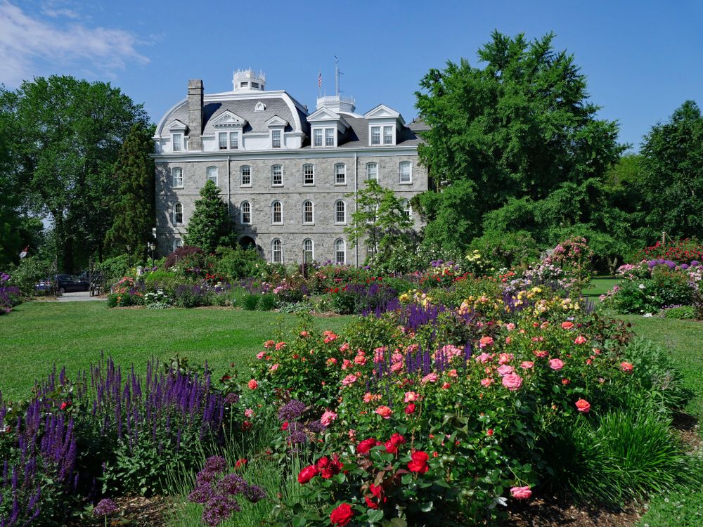 Beautiful flowers at Swarthmore College