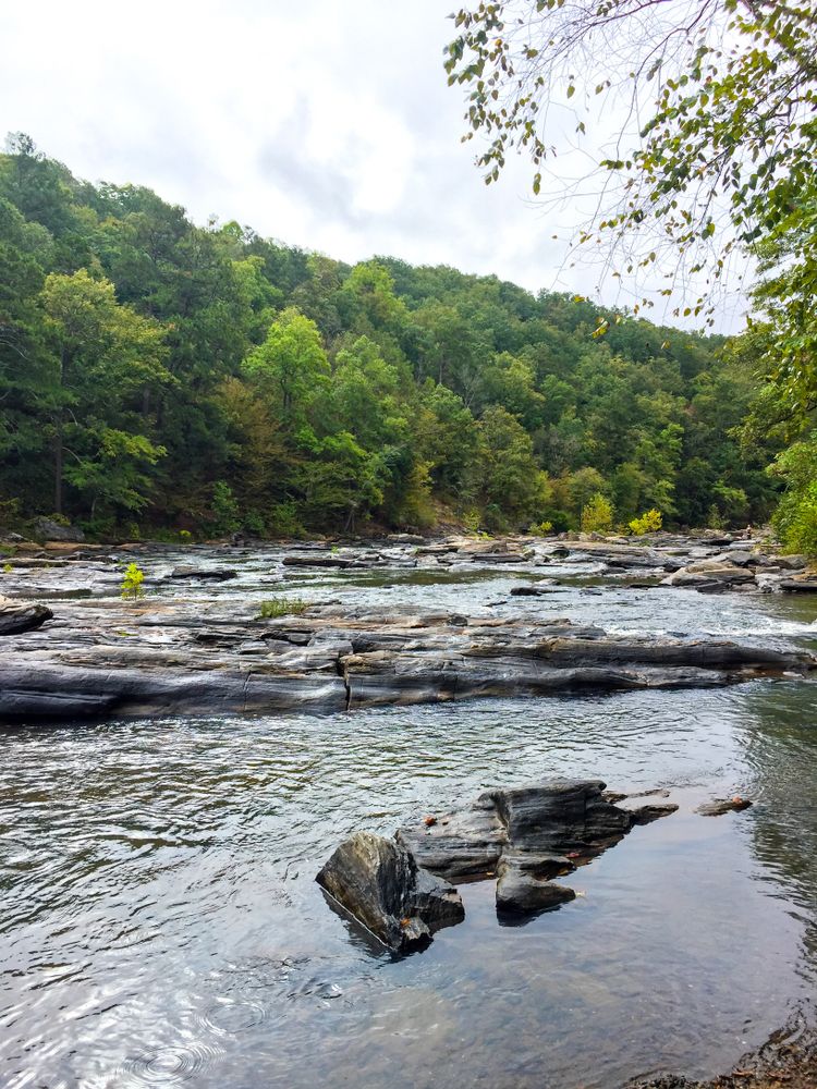 Sweetwater Creek flowing through wilderness