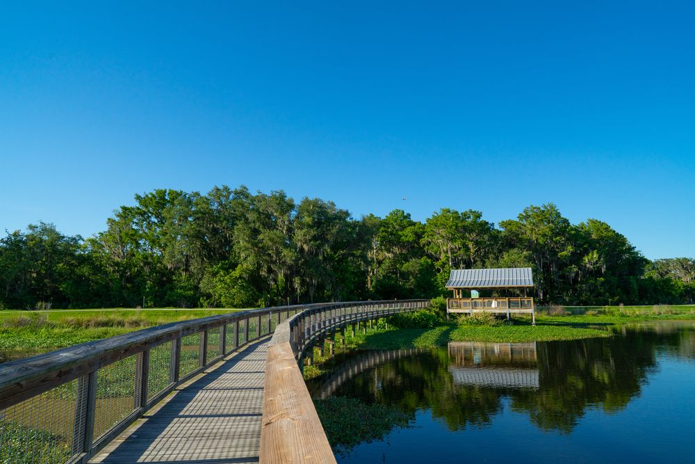 Boardwalk at Sweetwater Wetlands Park