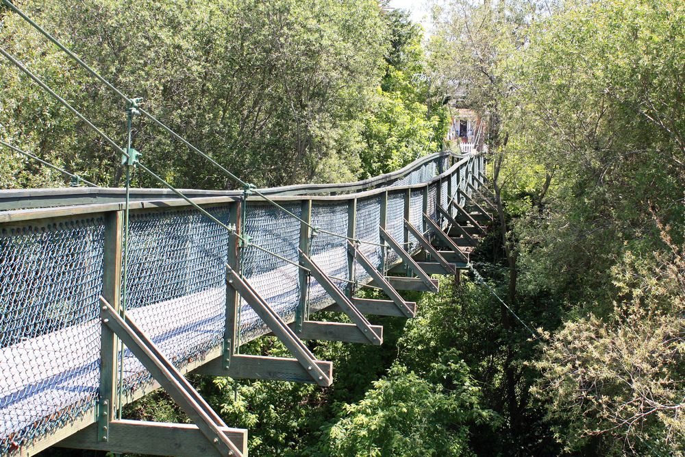 Swinging Bridge in Arroyo Grande