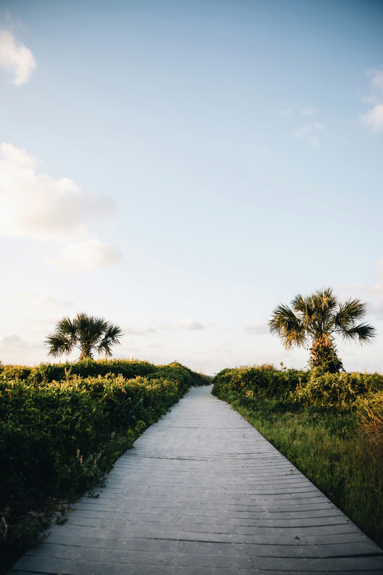 25 Incredible Photos of Hilton Head Island, SC