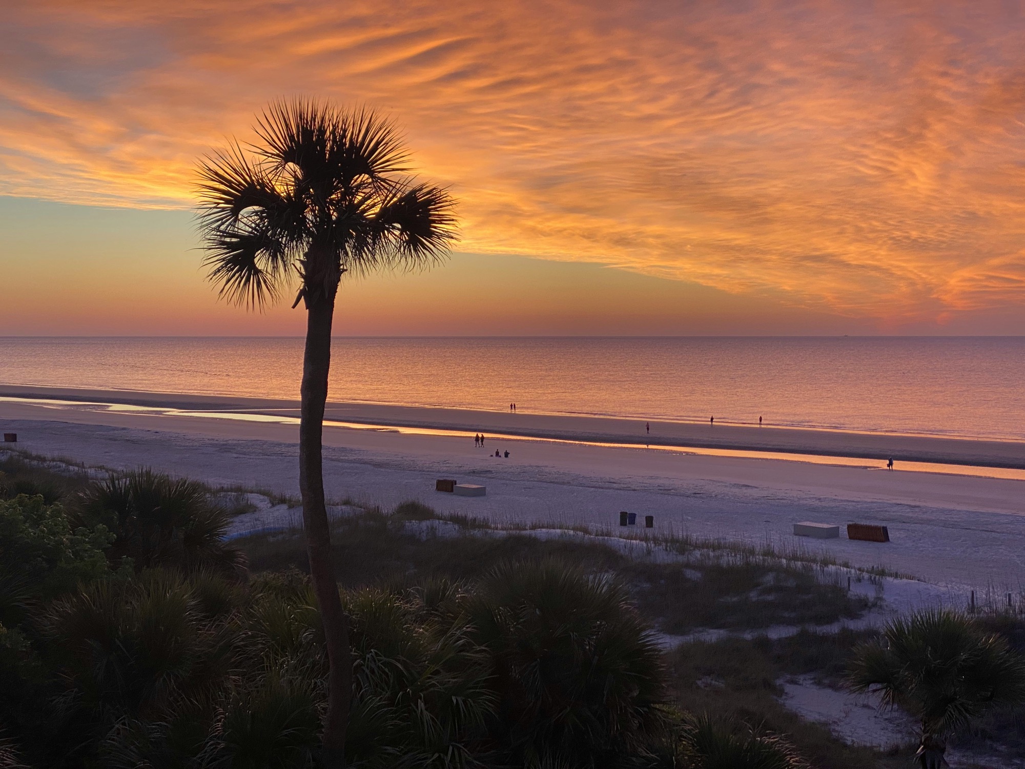 25 Incredible Photos of Hilton Head Island, SC