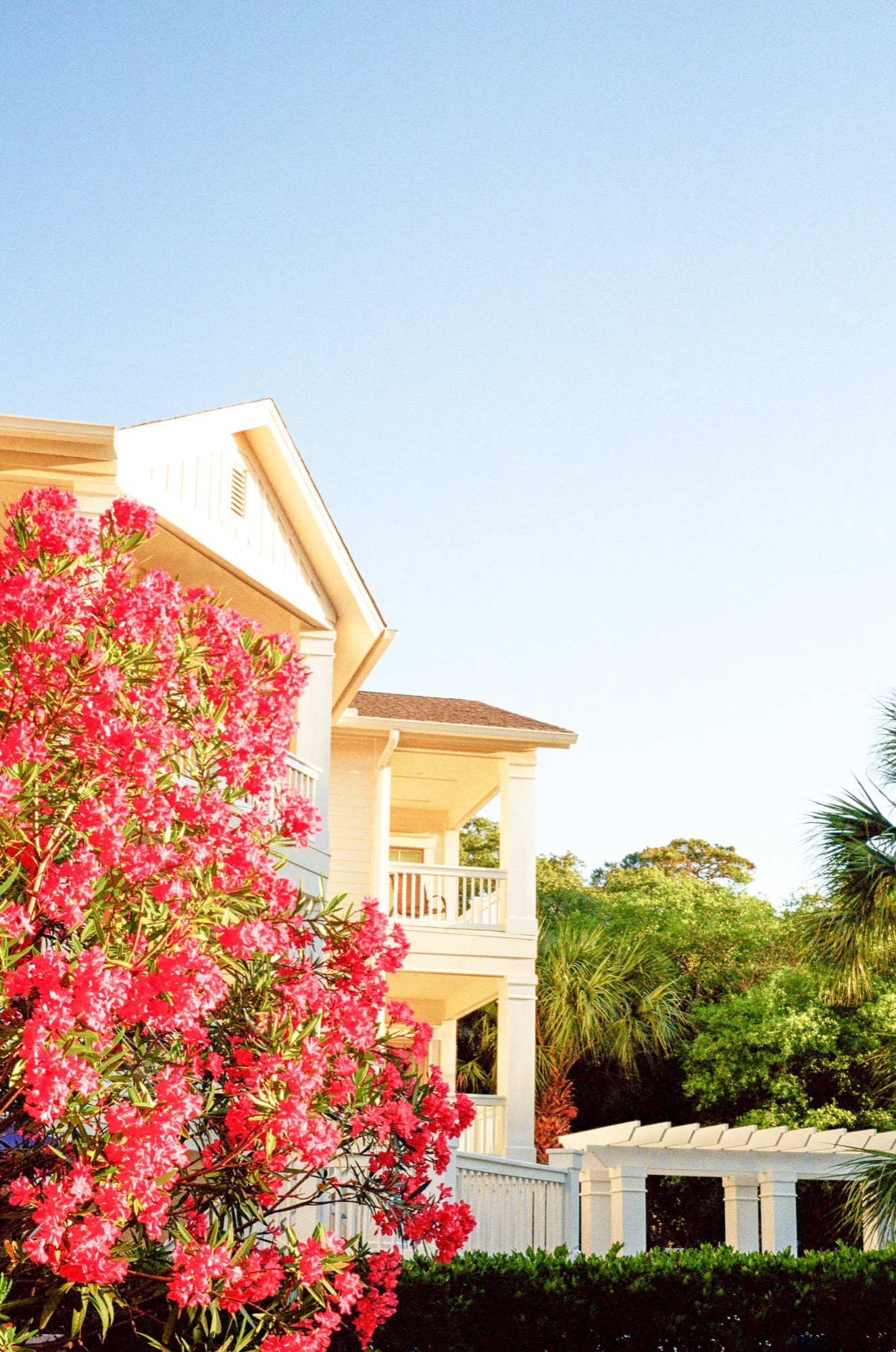 25 Incredible Photos of Hilton Head Island, SC