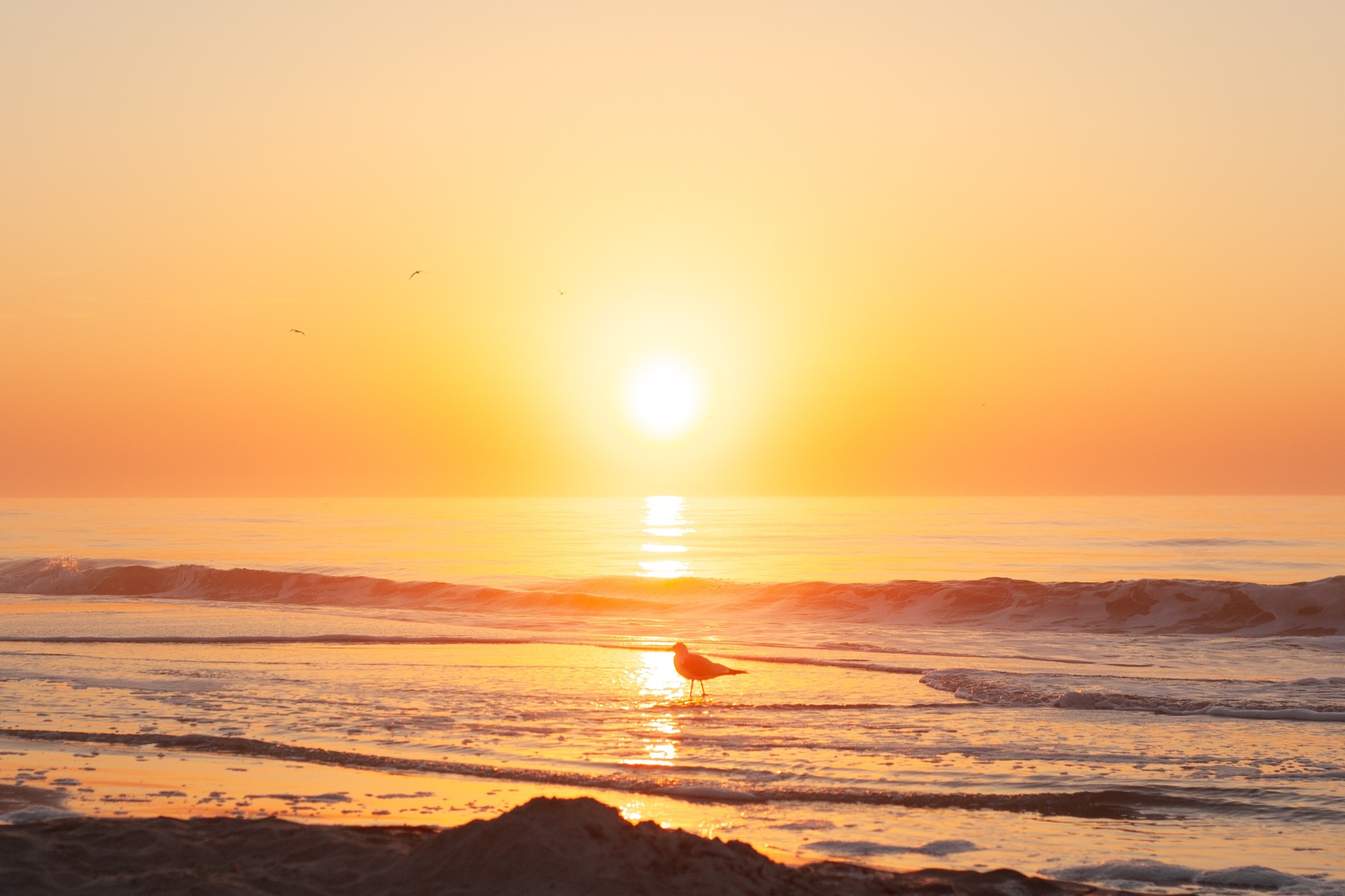 25 Incredible Photos of Hilton Head Island, SC