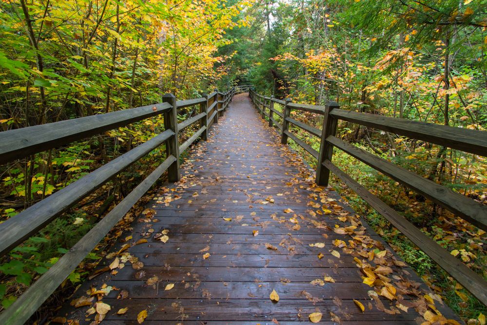 Boardwalk at Tahquamenon Falls State Park
