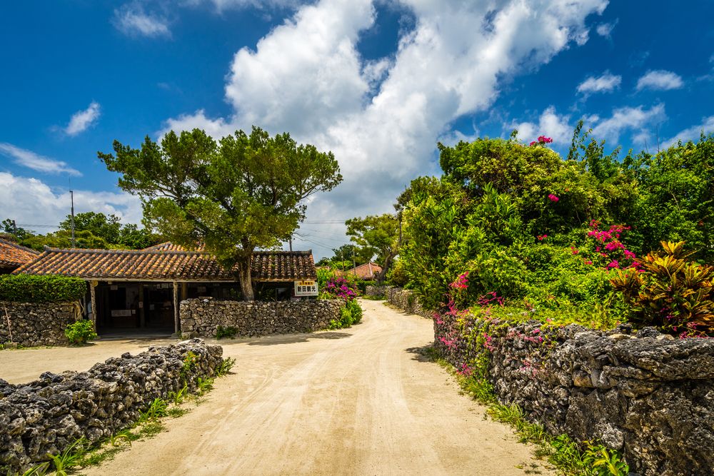 Traditional village in Taketomi Island