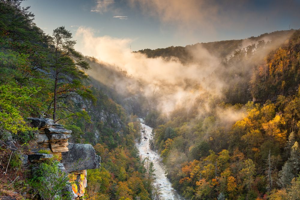 Scenic view of Tallulah Gorge State Park