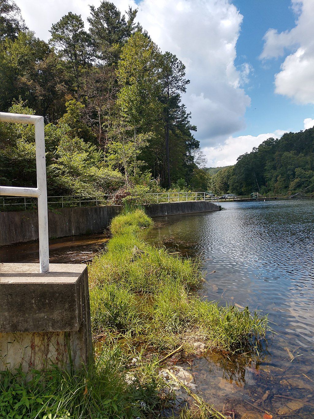 View of Tar Hollow State Park
