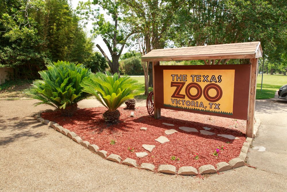 Signage of Texas Zoo