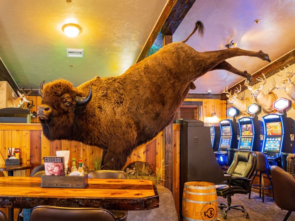 Interior view of the The Buffalo Bar