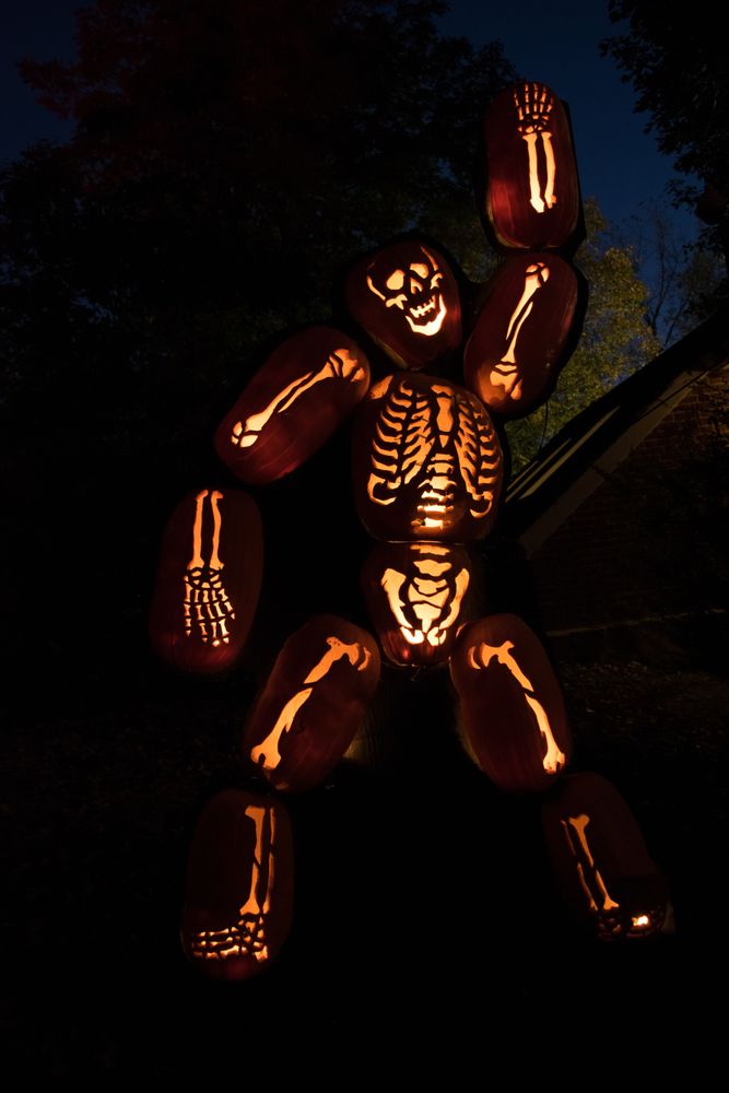 Skeleton at The Great Jack O’Lantern Blaze Hudson Valley