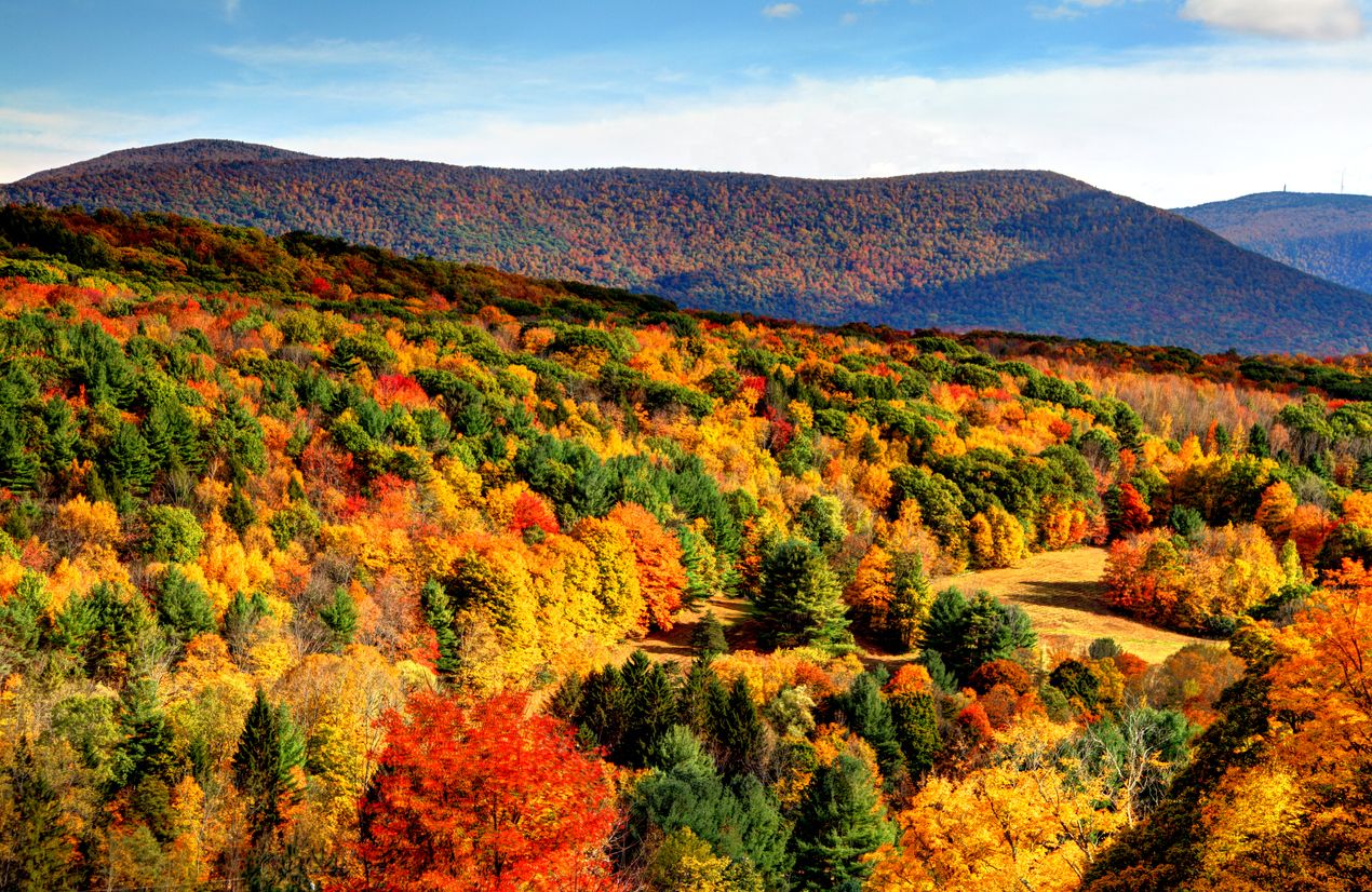 Autumn at the Berkshires of Massachusetts