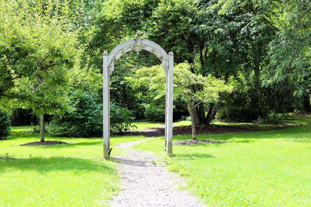 View of the Webster Arboretum