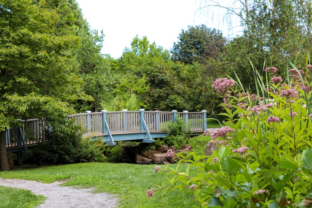 Pedestrian bridge at the The Webster Arboretum